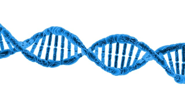 Co to znaczy helix? Co to znaczy helix?